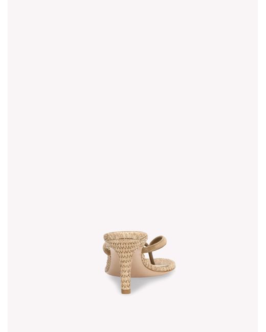 Gianvito Rossi Natural Calypso, Sandals And Mules