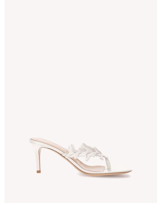 Gianvito Rossi Natural Ocean Thong