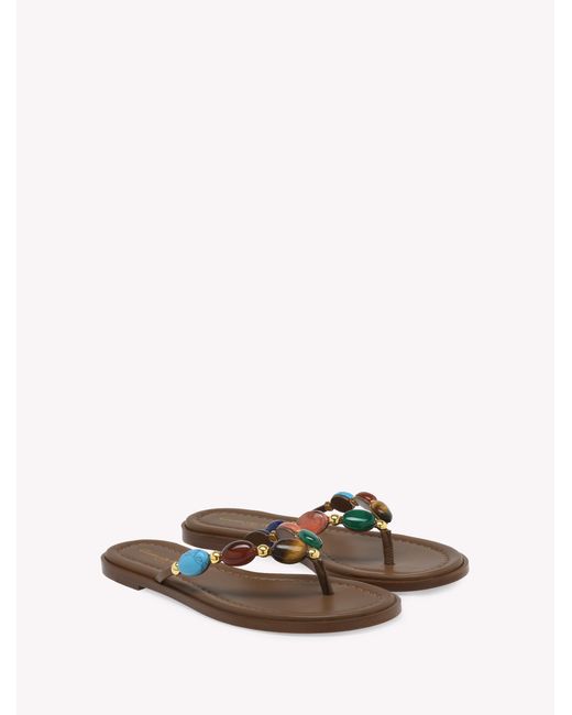 Gianvito Rossi Brown Shanti Thong 05, Flats