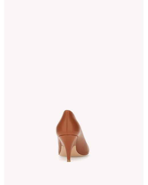 Sofia Pump, Marron Gianvito Rossi en coloris Brown