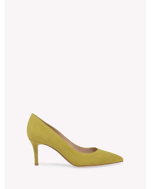 Gianvito Rossi Multicolor Gianvito 70
