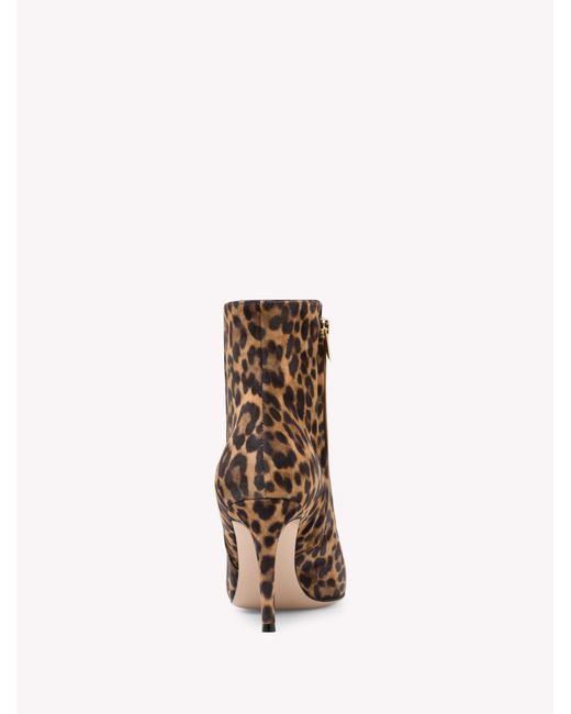 Gianvito Rossi Brown Levy 85, Boots