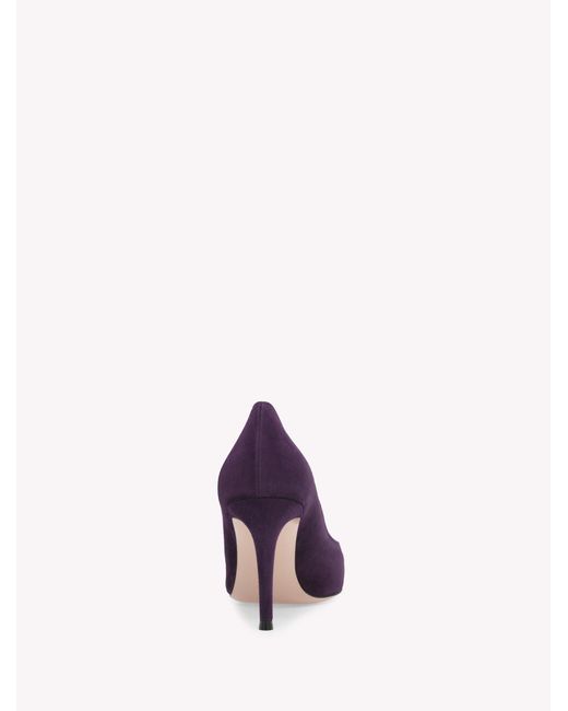 Gianvito Rossi Purple Gianvito 85
