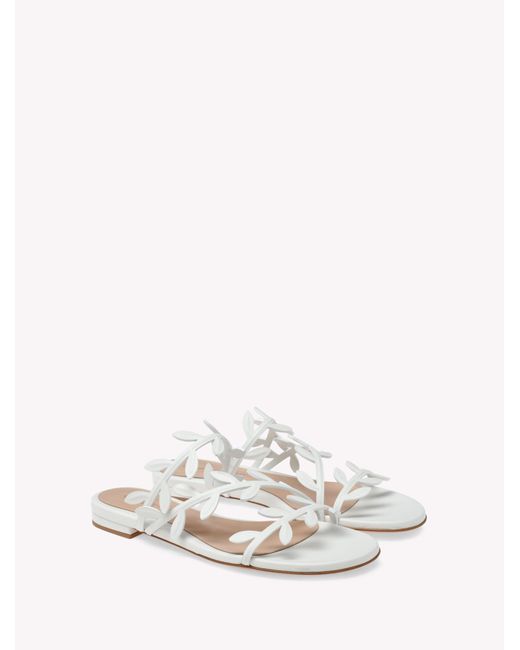 Gianvito Rossi White Flavia 05