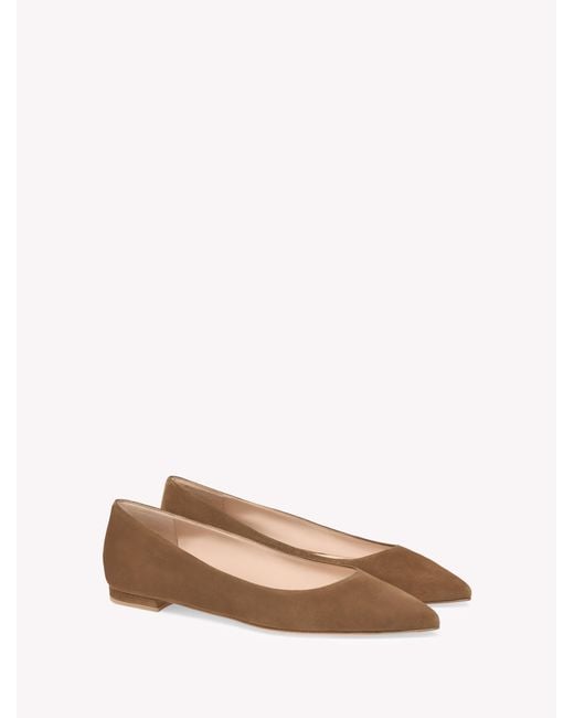 Gianvito Rossi Multicolor Gianvito Flat