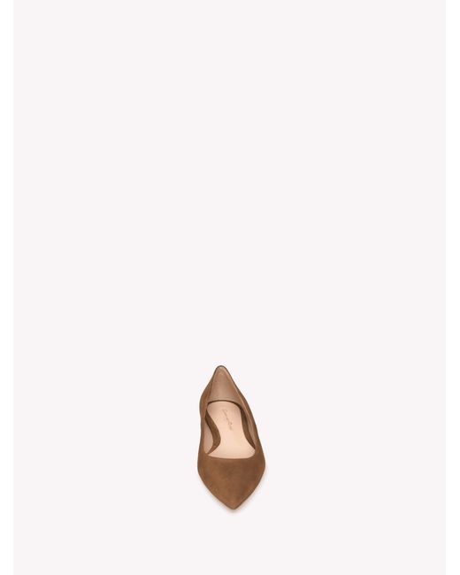 Gianvito Rossi Multicolor Gianvito Flat