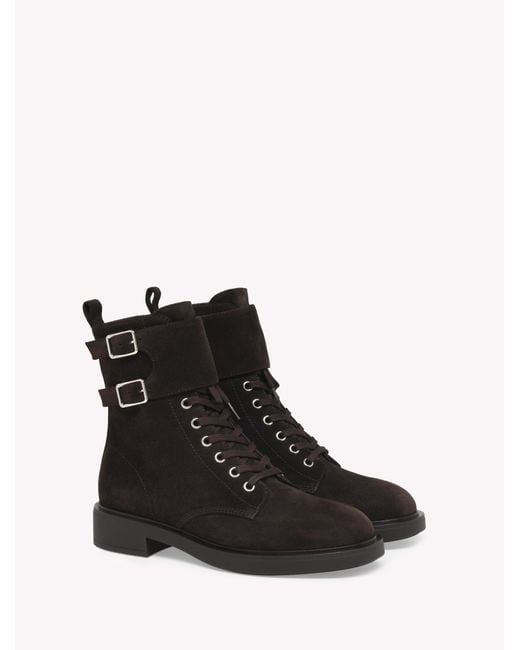 Gianvito Rossi Black Ripley, Booties