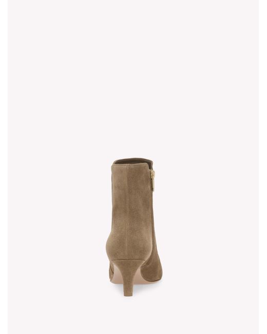 Gianvito Rossi Brown Levy 55, Booties
