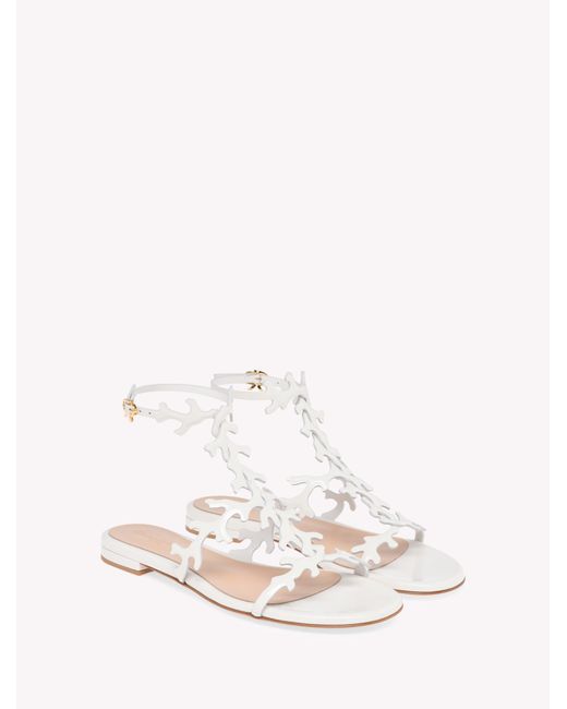 Gianvito Rossi Natural Ocean Flat, Flats