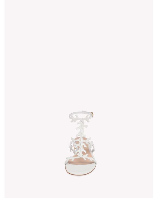 Gianvito Rossi Natural Ocean Flat, Flats