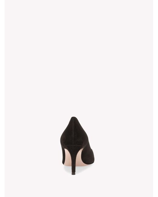 Gianvito Rossi Multicolor Gianvito 70