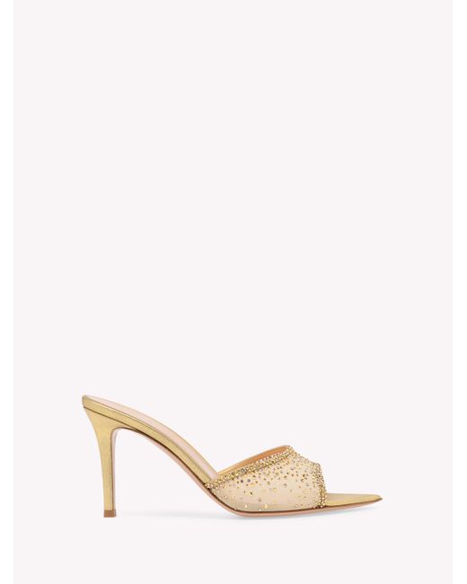 Gianvito Rossi Multicolor Rania Mule 85