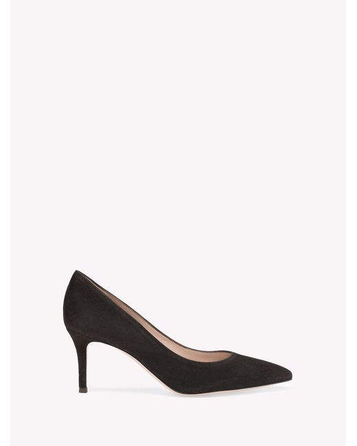 Gianvito Rossi Multicolor Gianvito 70