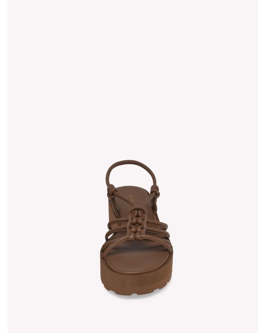 Gianvito Rossi Brown Hebe