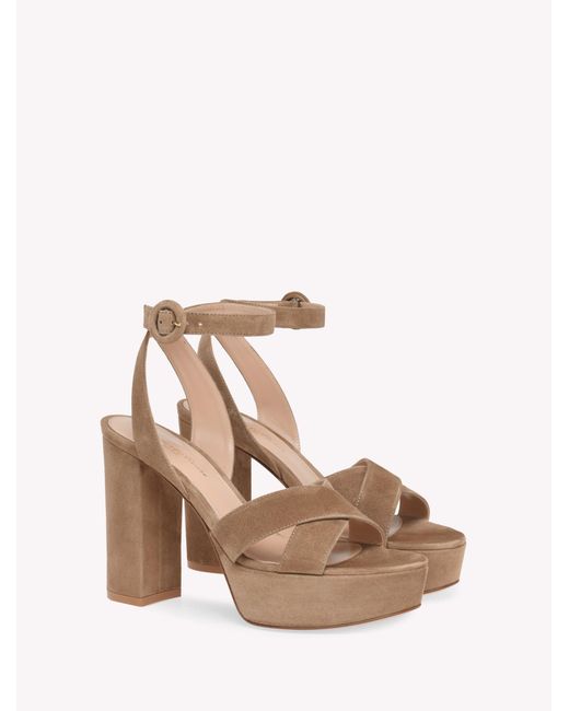 Gianvito Rossi Pink Sabrina