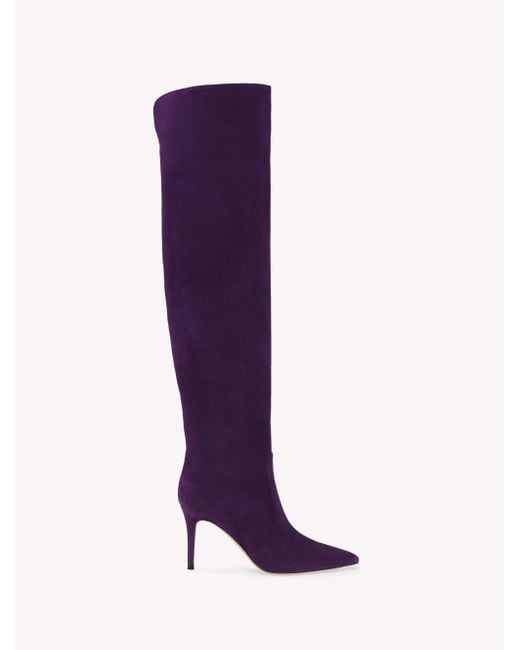 Hansen Cuissard, Pourpre Gianvito Rossi en coloris Purple