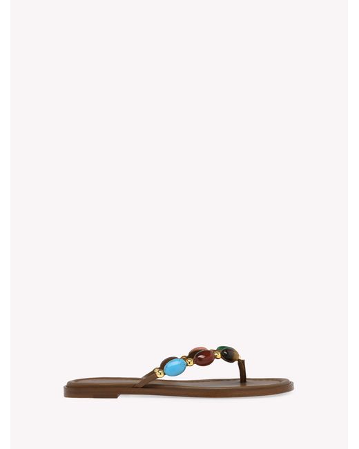 Gianvito Rossi Brown Shanti Thong 05, Flats