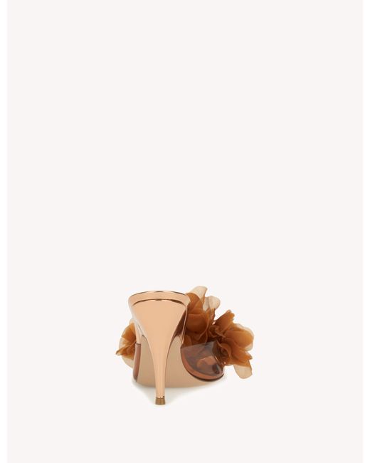 Gianvito Rossi Pink Igea