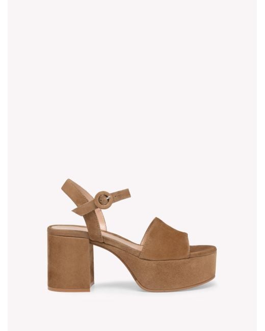 Carol di Gianvito Rossi in Pink