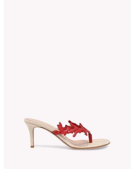 Gianvito Rossi Pink Ocean Thong, Sandals And Mules