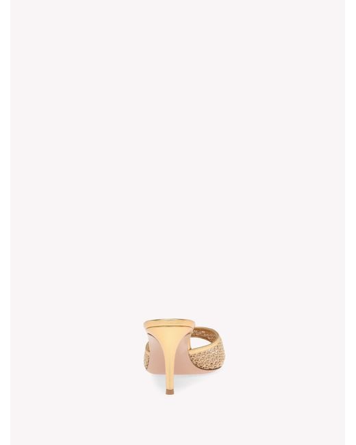 Gianvito Rossi Natural Dorotea Mule 70
