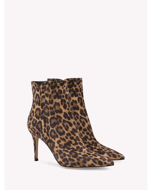 Gianvito Rossi Brown Levy 85, Boots