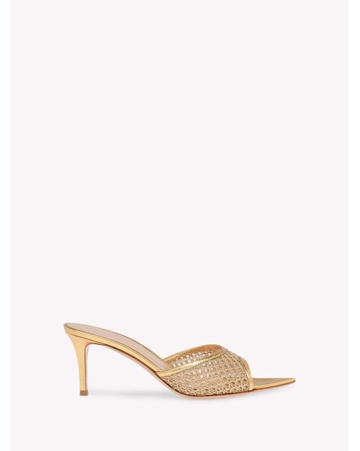 Gianvito Rossi Natural Dorotea Mule 70