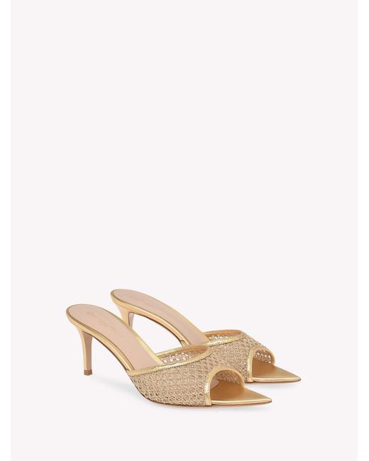 Gianvito Rossi Natural Dorotea Mule 70