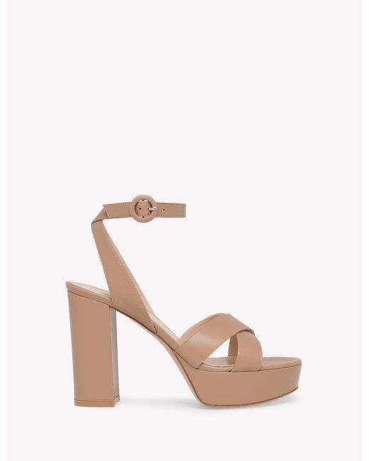 Gianvito Rossi Pink Sabrina