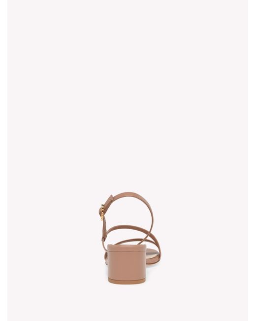 Gianvito Rossi Pink Betsey