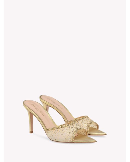 Gianvito Rossi Multicolor Rania Mule 85