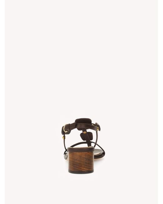 Gianvito Rossi Natural Munduk 45, Sandals And Mules