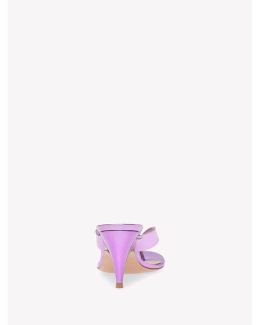 Gianvito Rossi Pink Sofia Thong