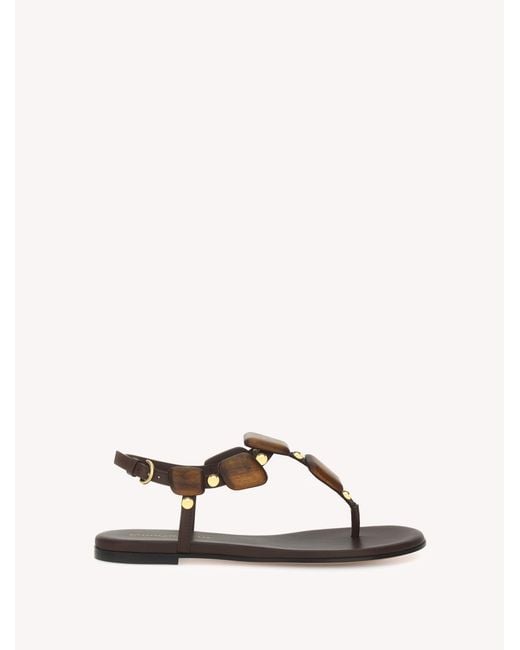 Gianvito Rossi Natural Munduk, Flats