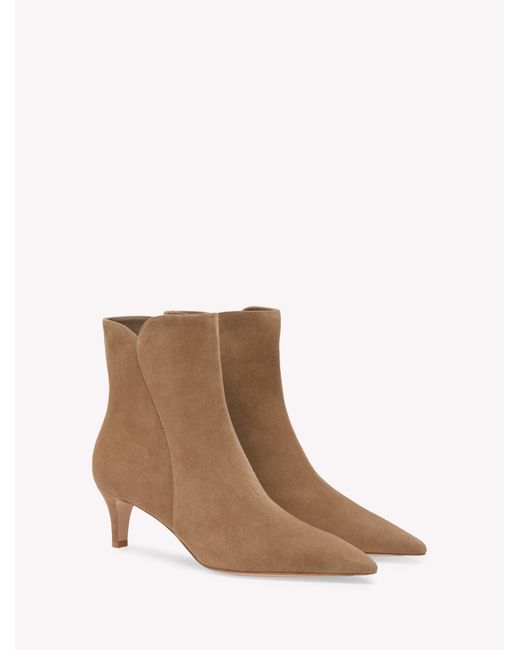 Gianvito Rossi Brown Levy 55, Booties