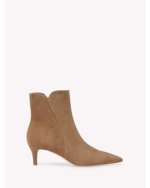 Gianvito Rossi Brown Levy 55, Booties