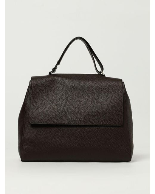 Orciani Black Handbag