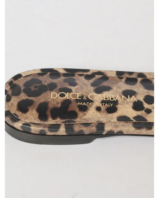 Dolce & Gabbana White Dolce &Amp Gabbana Animalier Print Leather Mules With Dg Monogram