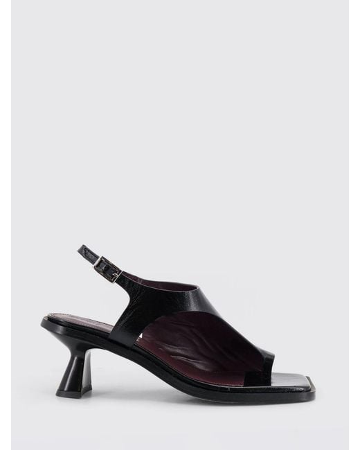 Alohas Black Leather Sandals