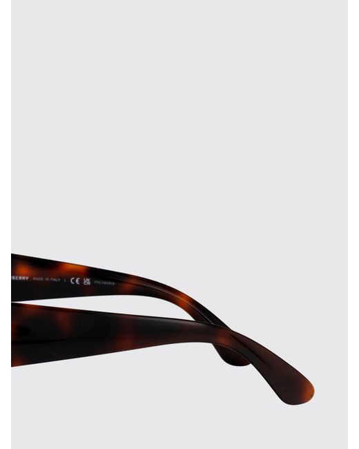 Burberry Brown 0Be4344 Daisy Acetate Sunglasses