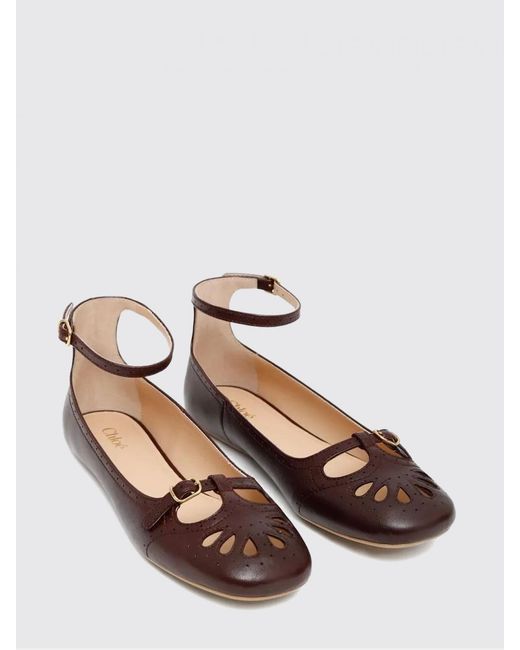 Chloé Brown ChloÉ Ballet Flats