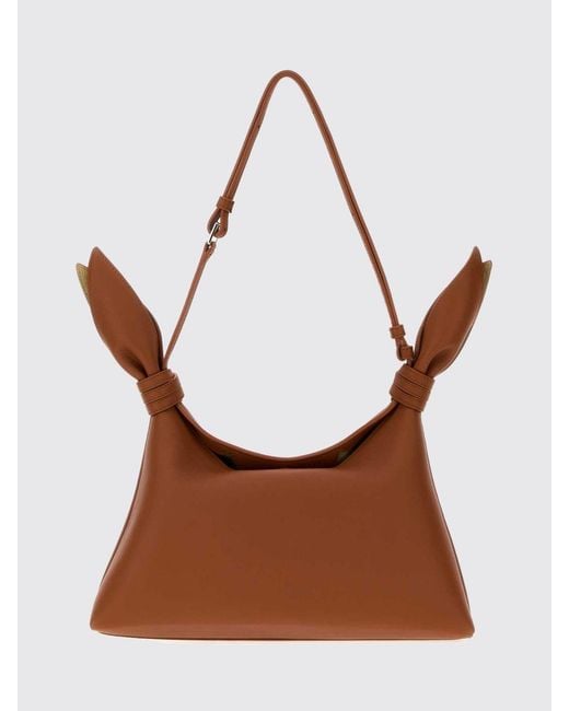 Loewe Brown Shoulder Bag