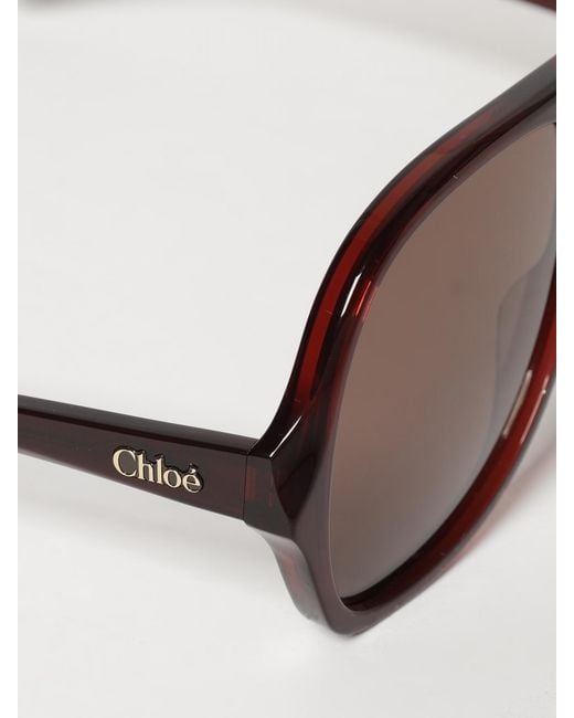 Chloé Natural ChloÉ Sunglasses
