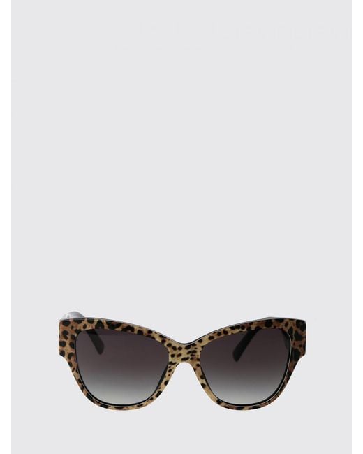 Dolce & Gabbana Gray Dolce &Amp Gabbana Acetate Sunglasses Dg 4449