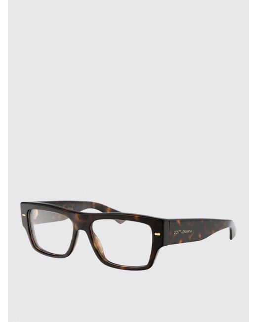 Dolce & Gabbana Brown Dolce &Amp Gabbana 0Dg3379 Acetate Eyeglasses