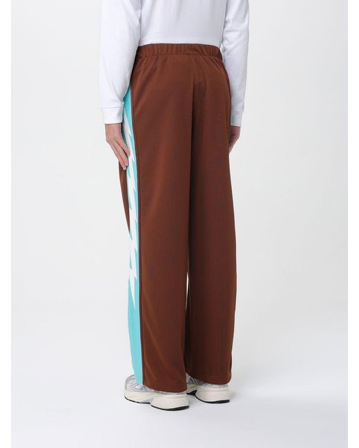 Champion Brown Trousers for men