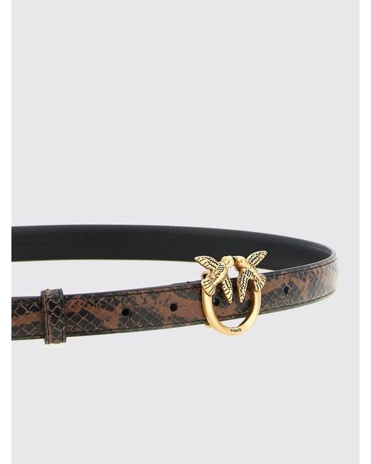 Pinko White Belt