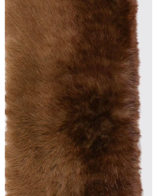 Apparis Brown Long Scarf
