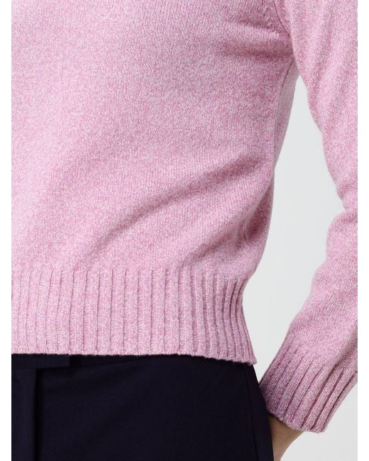 Kangra Pink Sweater
