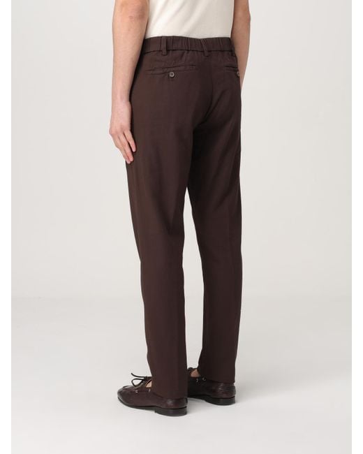 Myths Brown Trousers for men